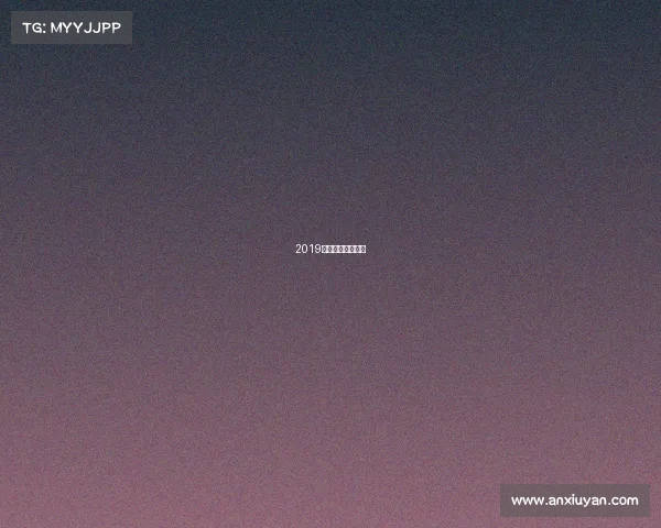 2019年国际赛事有哪些