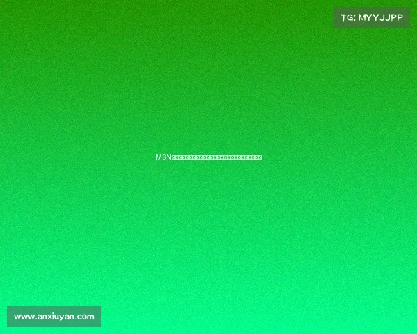 MSN经典赛事光辉历程重温网络黄金时代的辉煌记忆与永恒传奇 MSN经典赛事光辉历程重温网络黄金时代的辉煌记忆与永恒传奇